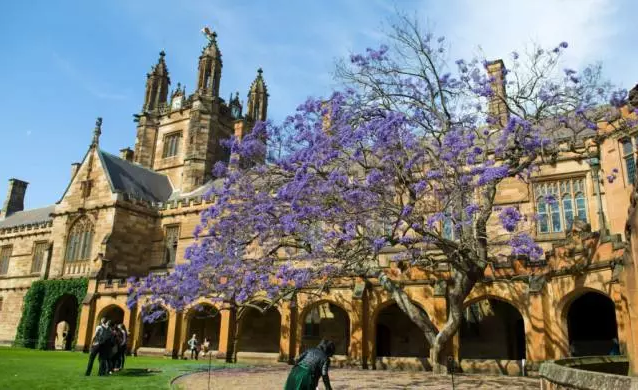 悉尼大学美丽校园，悉尼大学（The University of Sydney）始建于1850年，世界级顶尖历史名校，澳洲八大之一，五星级大学。
