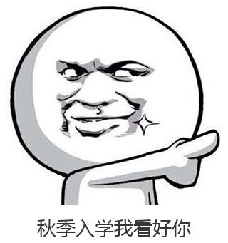 下载 (5).jpg