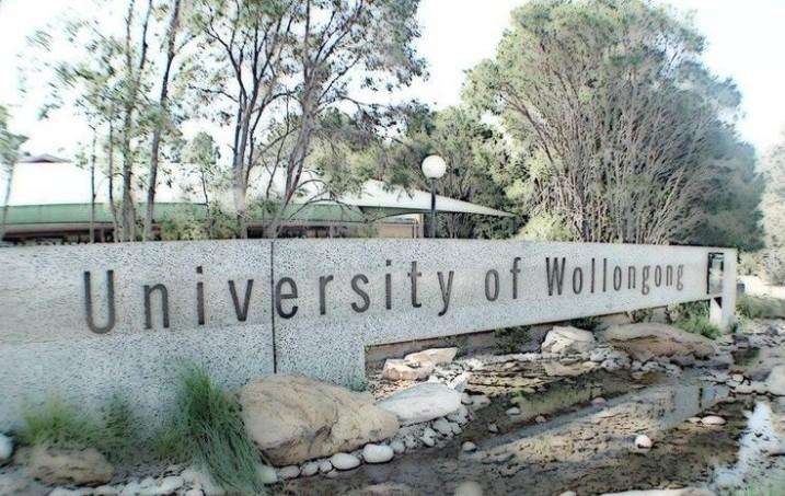卧龙岗大学