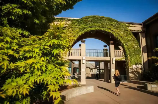 1585210823528634.png image.png