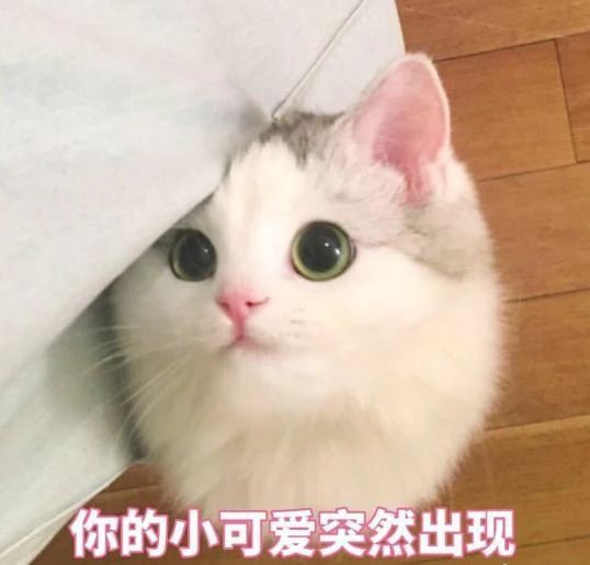 1624584880119005.png 图片1.png