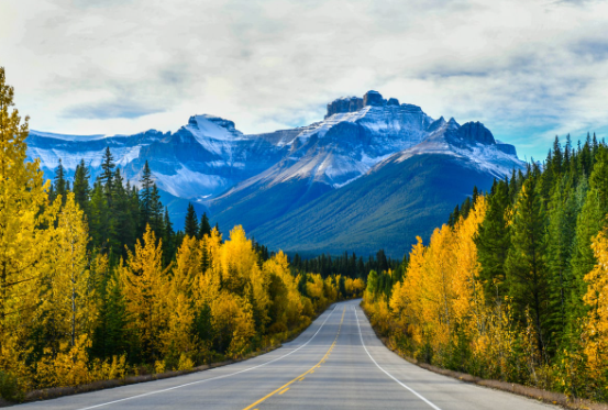 在英国学习最好的入学方式是什么？了解并申请！