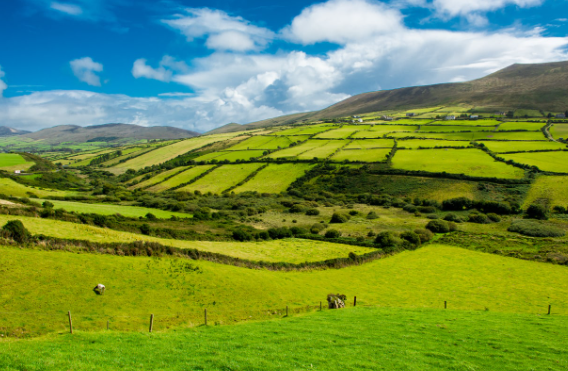 新加坡的本科和研究生课程的持续时间是多少？