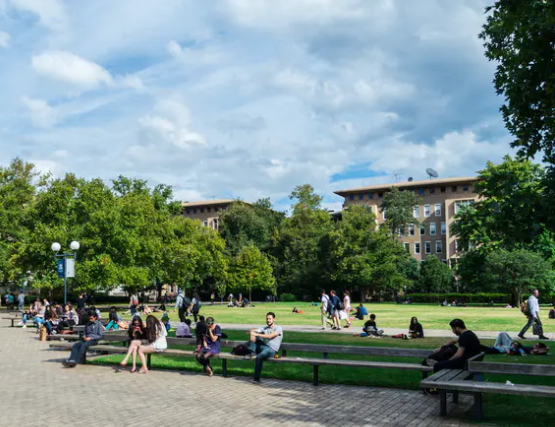 出国留学的申请流程是怎样的？