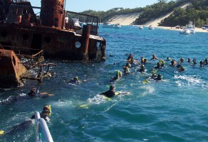 在墨尔本大学出国留学的的主要原因是什么？