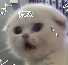 1630475575409078.png 图片1.png