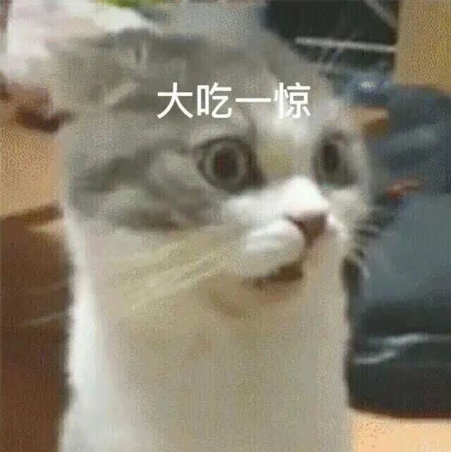 1632794979697244.jpg 1.jpg