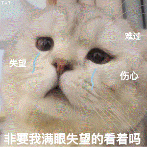 1634629785766231.gif 5.gif