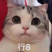 1641433832151586.jpg 2.jpg
