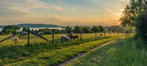 1659497775981870.jpg 2.jpg