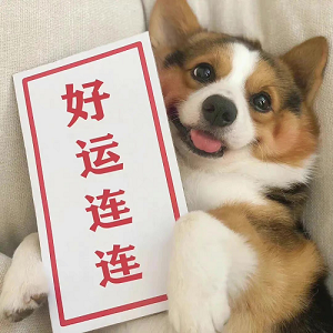 1659498279675088.png 7.png