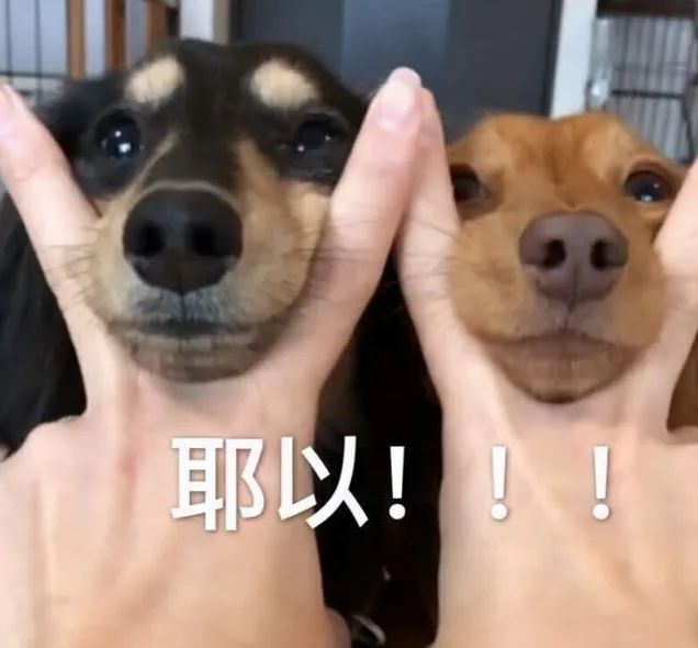 1671328456673014.jpg 微信图片_20221218095112.jpg